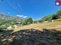 Terrain