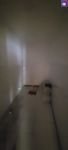 photo de l'annonce I-3536399 Bureau, local commercial