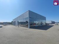 Bureau, local commercial 411m²
