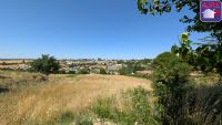 Terrain