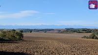 Terrain