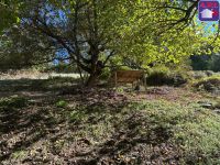 photo de l'annonce I-3558694 Grange, corps de ferme