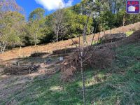 photo de l'annonce I-3558694 Grange, corps de ferme