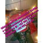 Medium Voyant �sot�risme et pr�tre vaudou WhatsApp