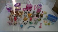 lot de 29 pet shops + accessoires en TBE