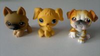 3 chiens pet shop bouledogs differents couleur TBE