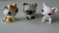 3 pet shop chats diffrentes couleurs en TBE