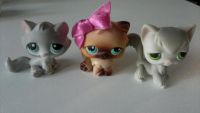 3 pet shop chatons en TBE