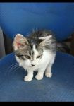 photo de l'annonce AN-2829800 
