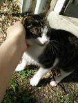 photo de l'annonce AN-2862918 