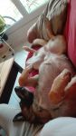 photo de l'annonce AN-2983422 