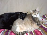 photo de l'annonce AN-3015112 