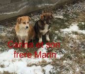 photo de l'annonce AN-3030738 