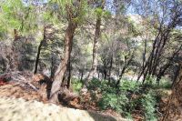 photo de l'annonce I-1415531 Terrain