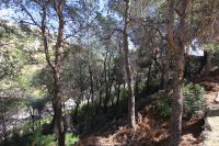 photo de l'annonce I-1415531 Terrain