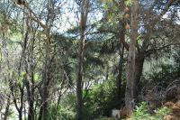 photo de l'annonce I-1415531 Terrain