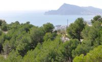 Terrain 974m²