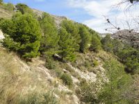photo de l'annonce I-1415533 Terrain