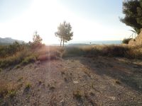 photo de l'annonce I-1419990 Terrain