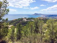 Terrain 1081m²