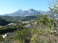 photo de l'annonce I-1420256 Terrain