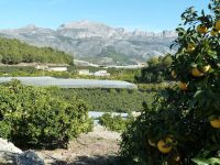 photo de l'annonce I-1420256 Terrain