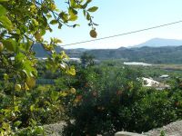photo de l'annonce I-1420256 Terrain