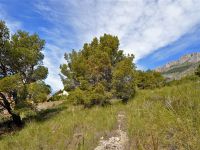 photo de l'annonce I-1420444 Terrain