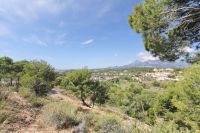 photo de l'annonce I-1420534 Terrain