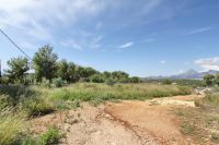 photo de l'annonce I-1420534 Terrain
