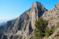 photo de l'annonce I-1421791 Terrain