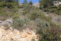 photo de l'annonce I-1421791 Terrain