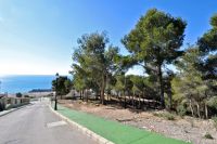 Terrain 3565m²