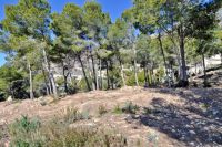 photo de l'annonce I-1421851 Terrain