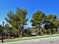 photo de l'annonce I-1421851 Terrain