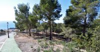 photo de l'annonce I-1421851 Terrain