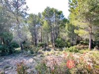 photo de l'annonce I-1421859 Maison / Villa