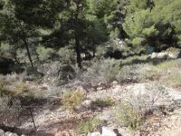 photo de l'annonce I-1422615 Terrain