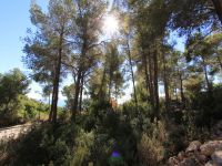 photo de l'annonce I-1436126 Terrain