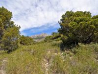 Terrain 4360m²