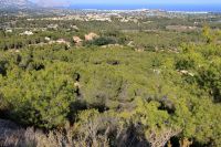 photo de l'annonce I-1443164 Terrain