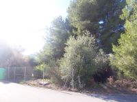 photo de l'annonce I-1469870 Terrain