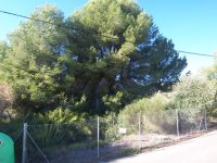 photo de l'annonce I-1469870 Terrain
