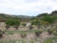 Terrain 10223m²