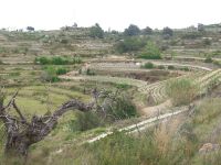 photo de l'annonce I-1469878 Terrain