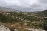 photo de l'annonce I-1474164 Terrain