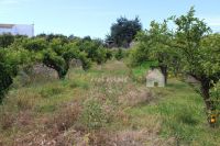 Proprit 65m²