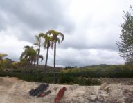 Terrain 31000m²