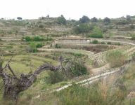 Terrain 10223m²
