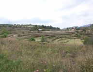 photo de l'annonce I-2097578 Terrain